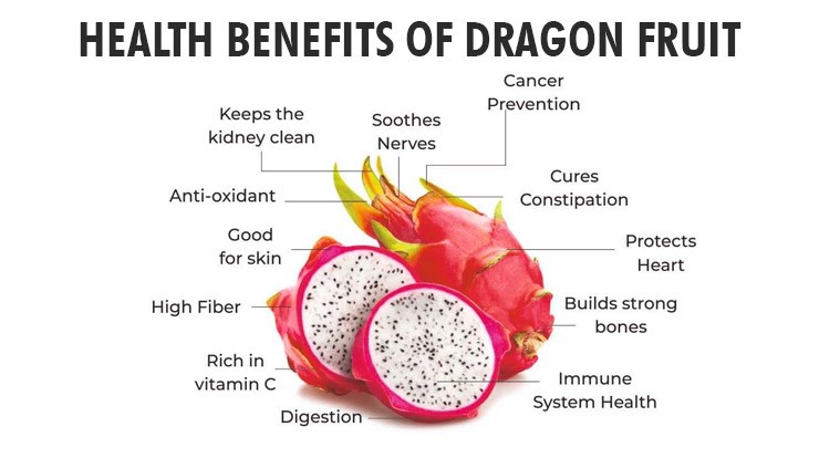 10 Remarkable Benefits of Dragon Fruit