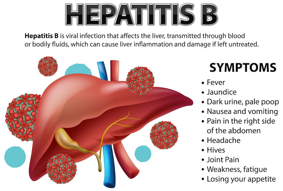 Understanding Hepatitis B: What You Need to Know